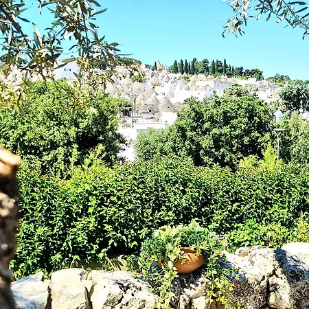 Panoramic Terrace *