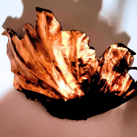 Nyaraló Panoramic Terrace *